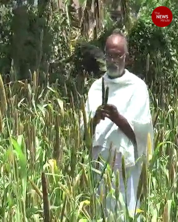 Meet Coimbatore farmer who dedicates part of his land to feed birds #TNMGoodNews