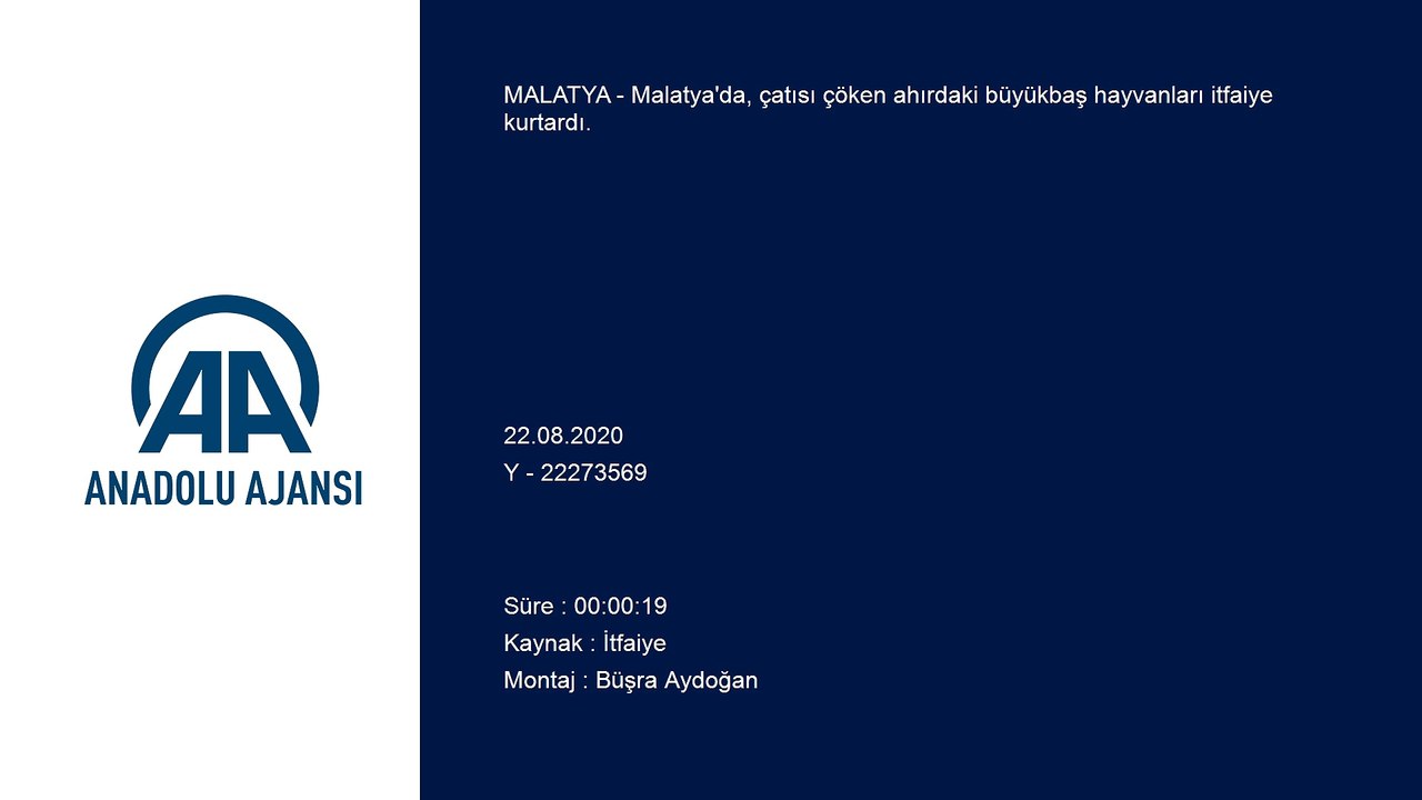 Malatya'da çatısı çöken ahırdaki hayvanlar kurtarıldı