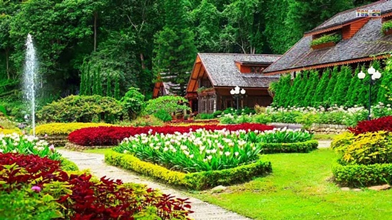 House & Garden - Flower Around The Houses Ideas