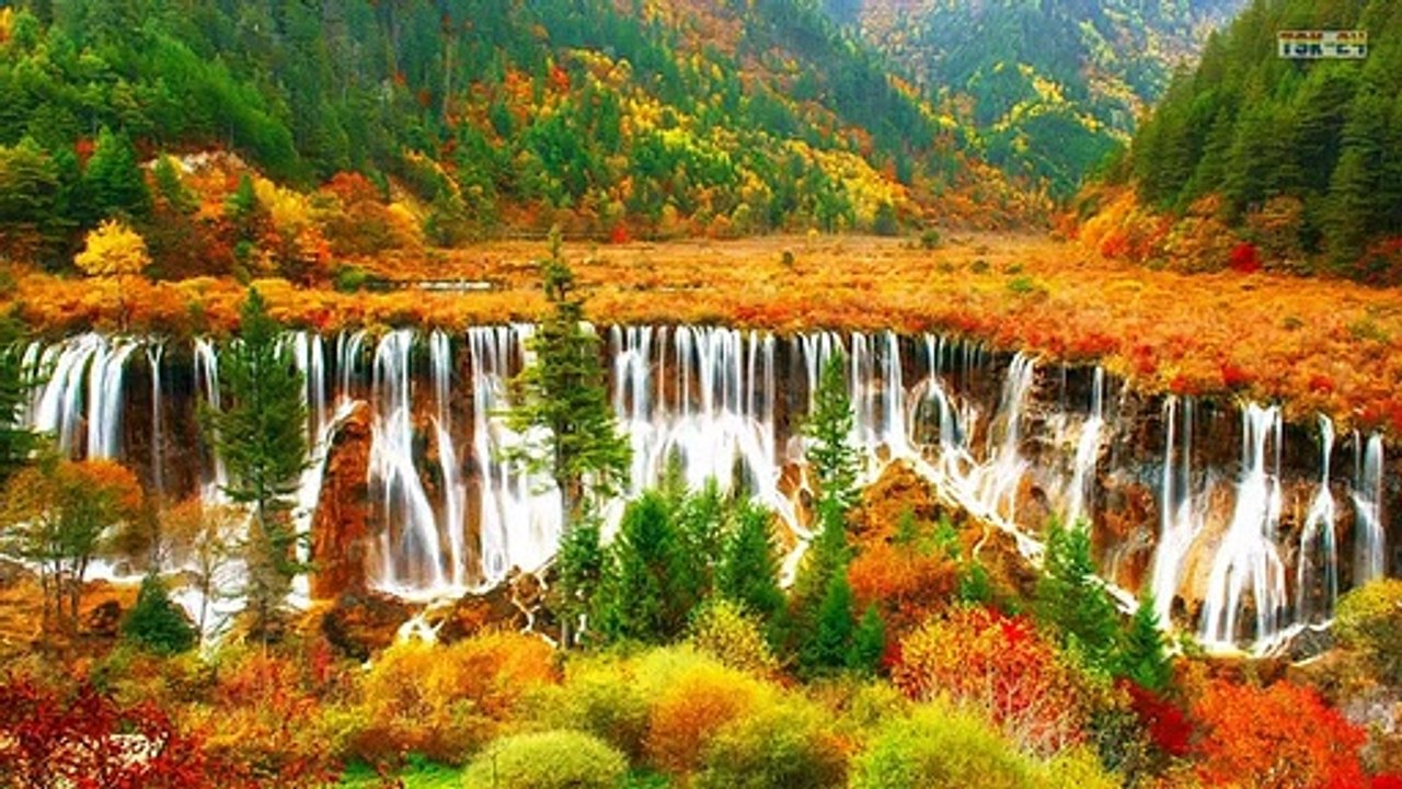 Beautiful Autumn Forest - Beautifull Fall Leaf Colors