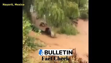 इंदौर: यशवंत सागर डैम में बह रहे गोवंश, मानसून के तीखे तेवर का यह वीडियो है फेक