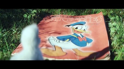 Disney Fan Duck(lovely).