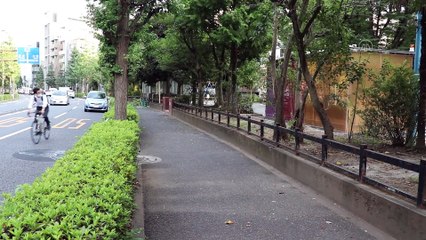 Saydam kabinli halka açık tuvaletler Tokyo sakinlerine teknoloji ve şeffaflık sunuyor - TOKYO