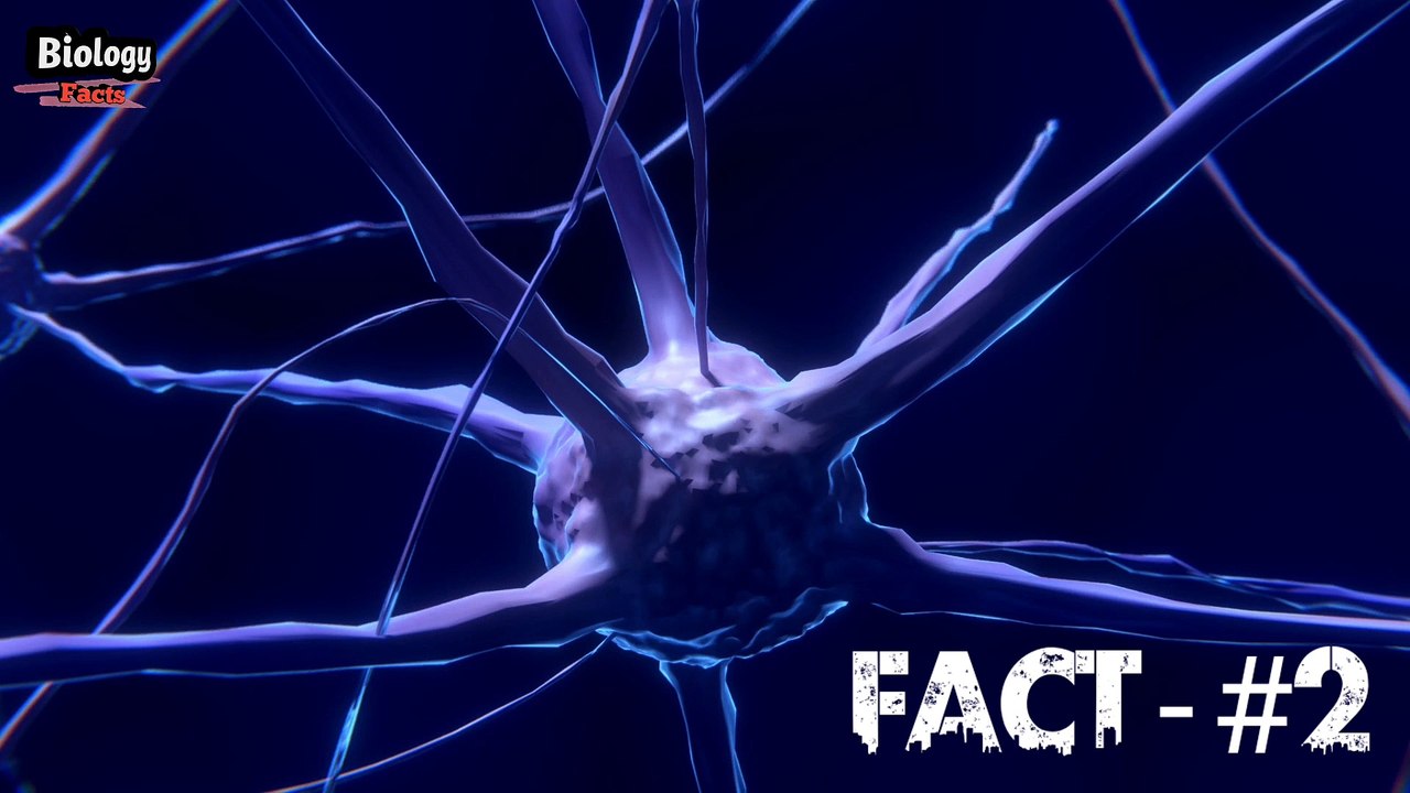 eyes fact आँखों के बारे में कुछ ज़रूरी बातें / Biology facts about Human eyes / Eyes facts / science facts