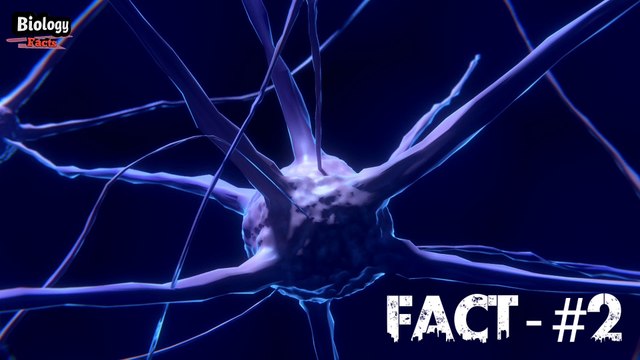 eyes fact आँखों के बारे में कुछ ज़रूरी बातें / Biology facts about Human eyes / Eyes facts / science facts