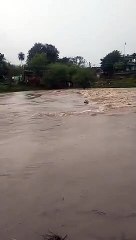 बारिश के कारण टिटोडी में नाला आया उफान पर