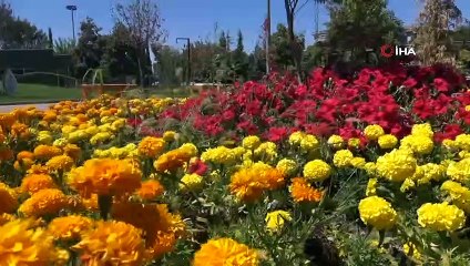 Büyükşehirden cadde ve sokaklara bakım