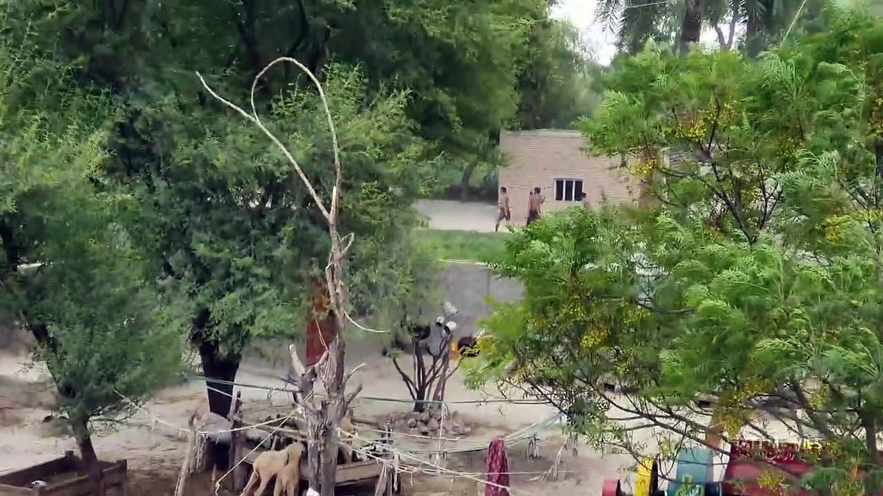 Natural Village In Punjab Pakistan_Best movies clips HD