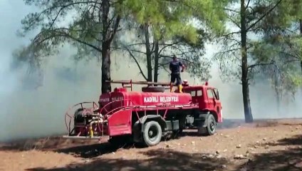 Osmaniye'de çıkan orman yangını kontrol altına alındı