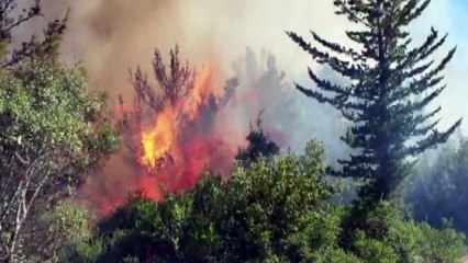 Osmaniye'de çıkan orman yangınına havadan ve karadan müdahale ediliyor