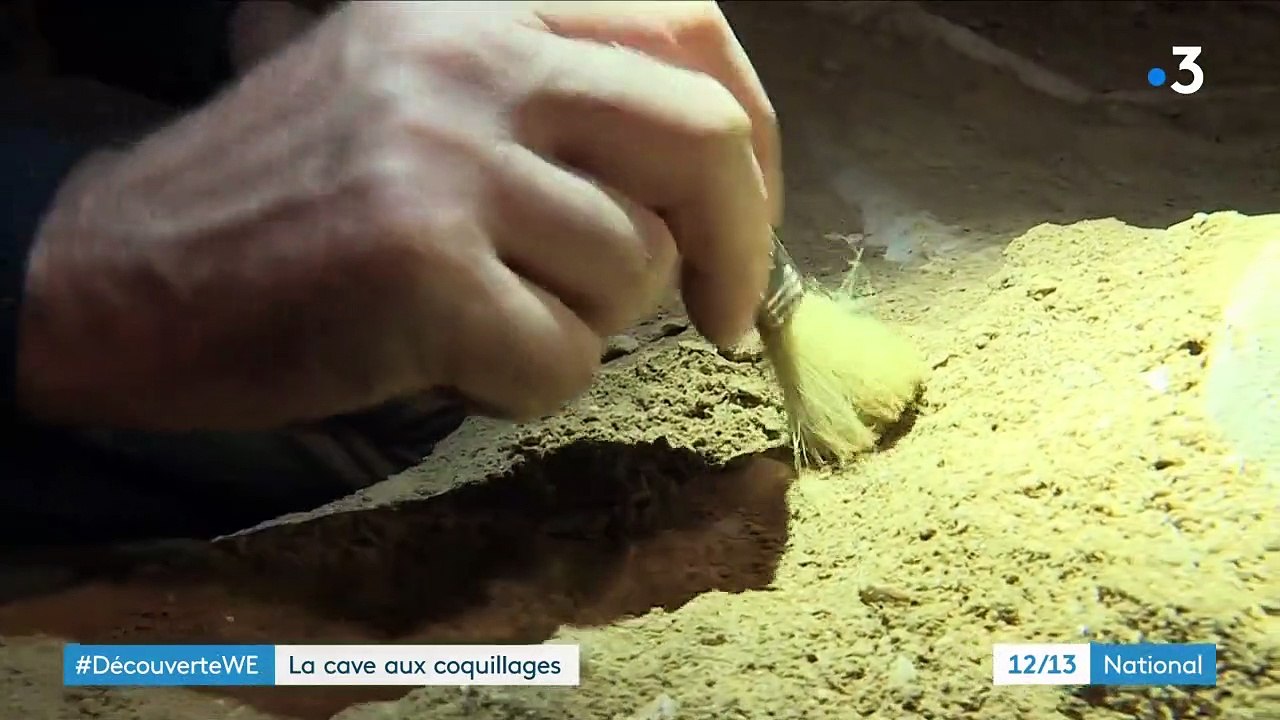 La "cave aux coquillages", une incroyable curiosité