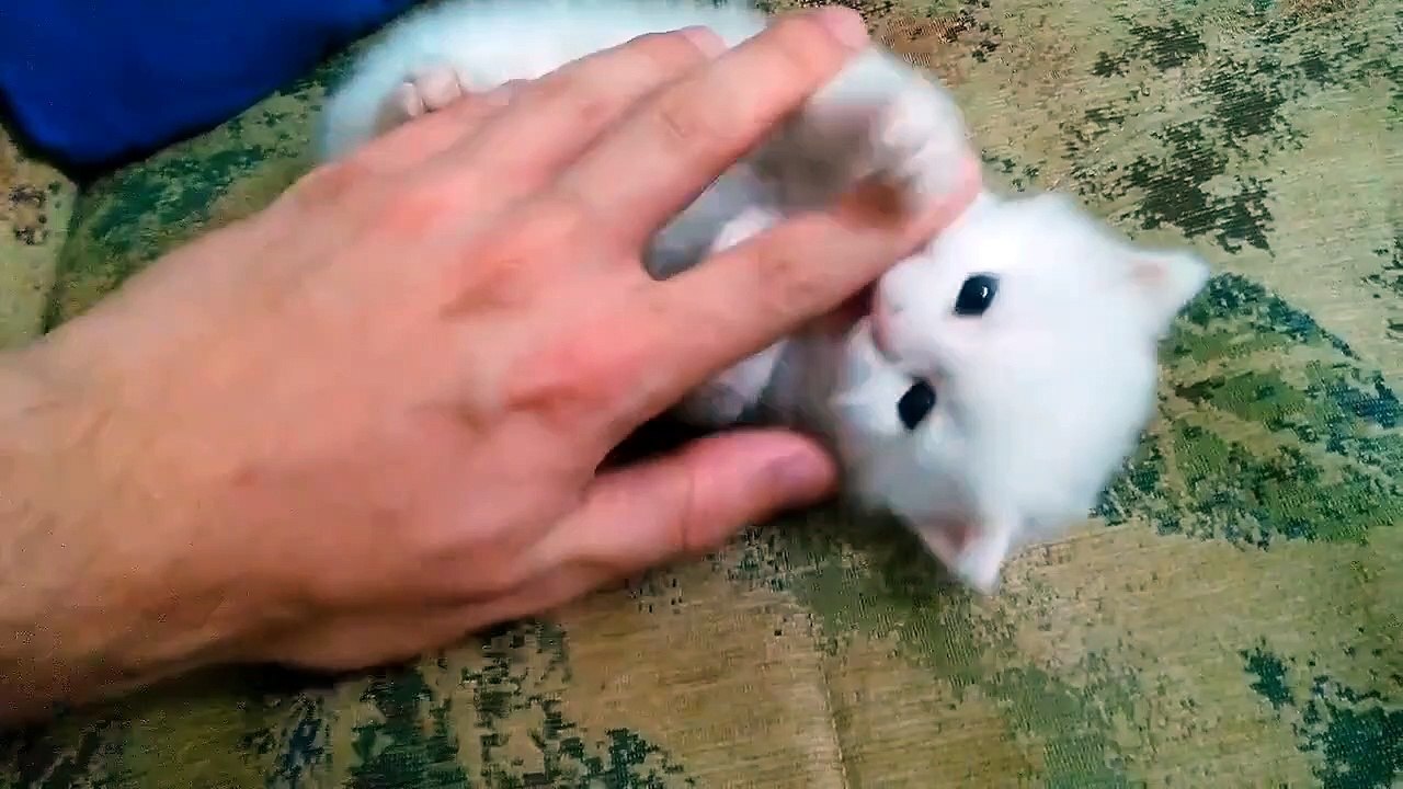 İf you want to be more positive you should click this video