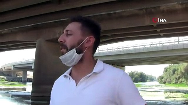 Canbalı Deresi'nde balık ölümleri tedirgin etti