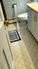 Corgi Carries off a Long Trail of Toilet Paper