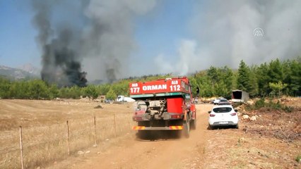 Serik'te orman yangını (3) - ANTALYA