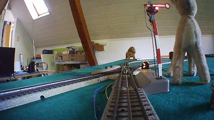 Mitfahrt auf der Anlage 24