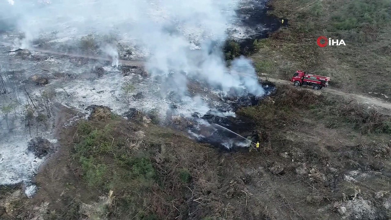 Bursa’da orman yangını kontrol altına alındı
