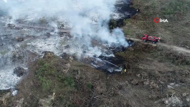 Bursa’da orman yangını kontrol altına alındı