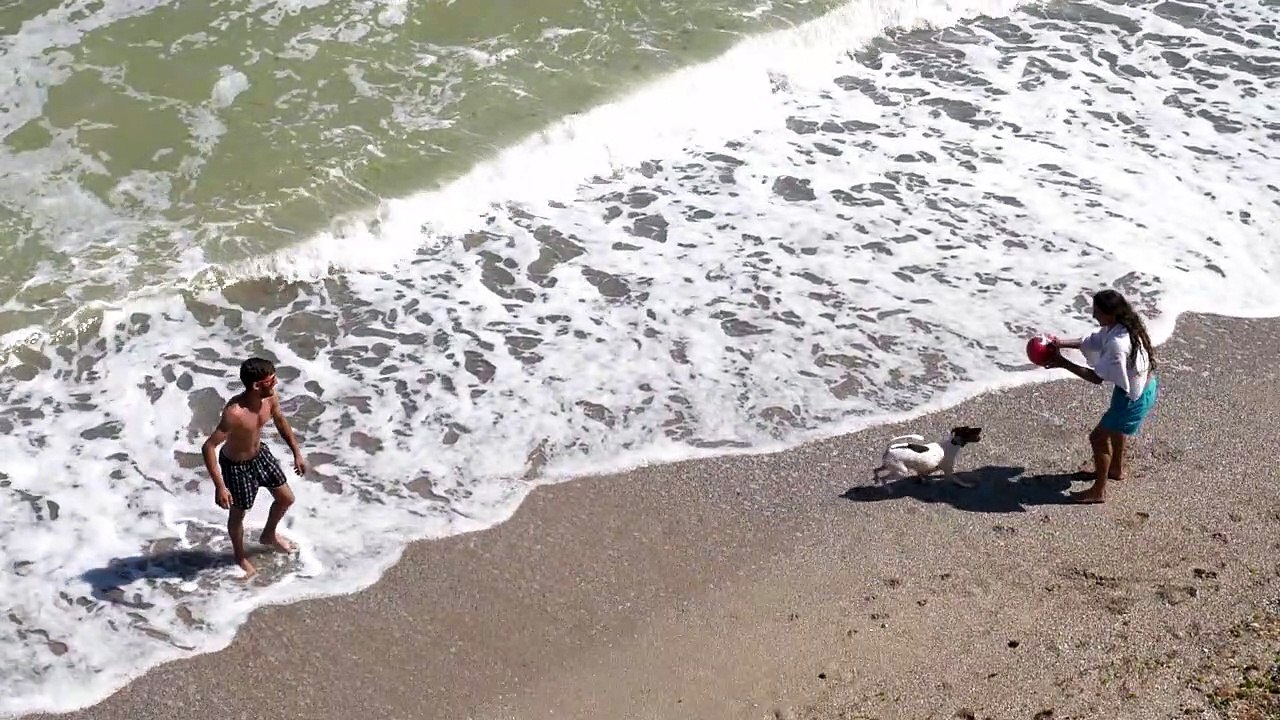 Couple with dog at the beach