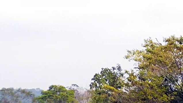 [SBEG Spotting]Boeing 767-300ER PT-MSO na final antes de pousar em Manaus vindo de Guarulhos(22/08/2020)