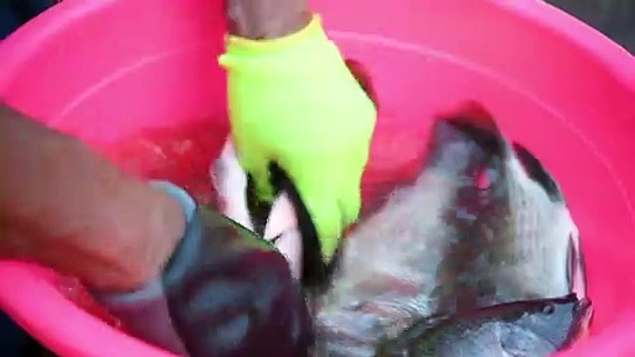 Sacerdote cultiva tilapias para sortear crisis por pandemia en El Salvador