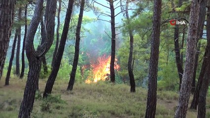 Manavgat'ta iki saat içinde 4 ayrı noktadan alevler yükseldi