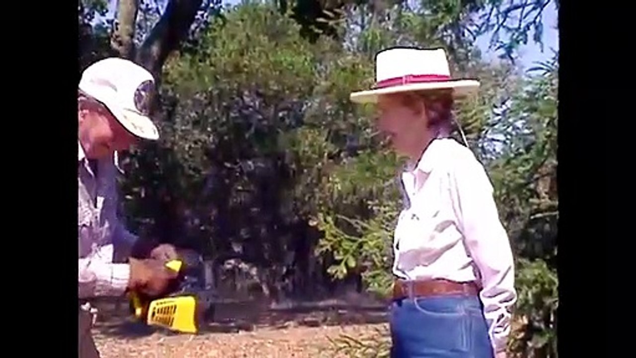 The Way I See It Produced By Laura Dern, Evan Hayes