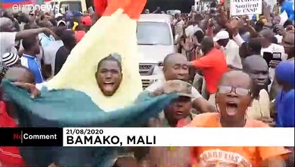 Top West African officials arrive in Mali after coup