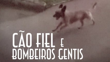 Cão Fiel e Bombeiros Gentis - EMVB - Emerson Martins Video Blog 2014