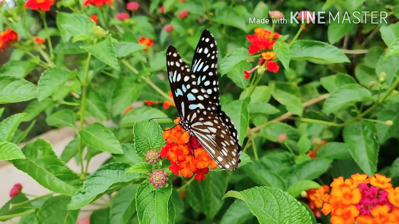 darood sharif ki fazilat | darood sharif ke fazail | durood e pak fazilat | malumat islam