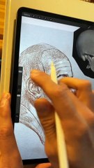 How To Draw Anatomy of the human head Step By Step for beginners with the loomis method, Zoom [ ]