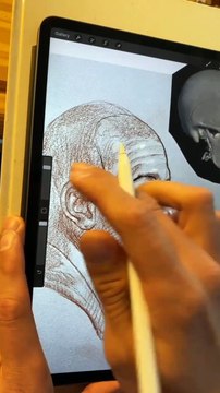 How To Draw Anatomy of the human head Step By Step for beginners with the loomis method, Zoom [ ]