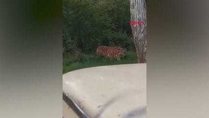 Önce izledi, sonra harekete geçti...