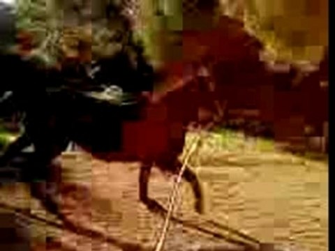 Neptune galop a droite