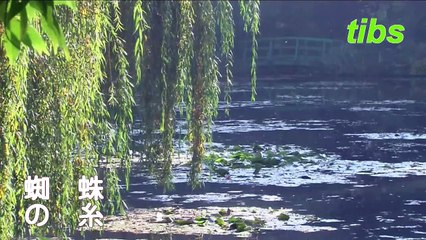 （たおやかインターネット放送)朗読の時間蜘蛛の糸Spider thread