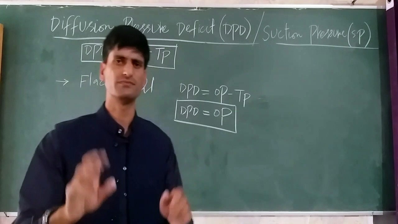 Diffusion Pressure Deficit(DPD).mp4_Tb73a1fd7_720p