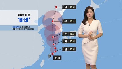 [날씨] 태풍 '바비' 북상...전국 강한 비바람 예상 / YTN
