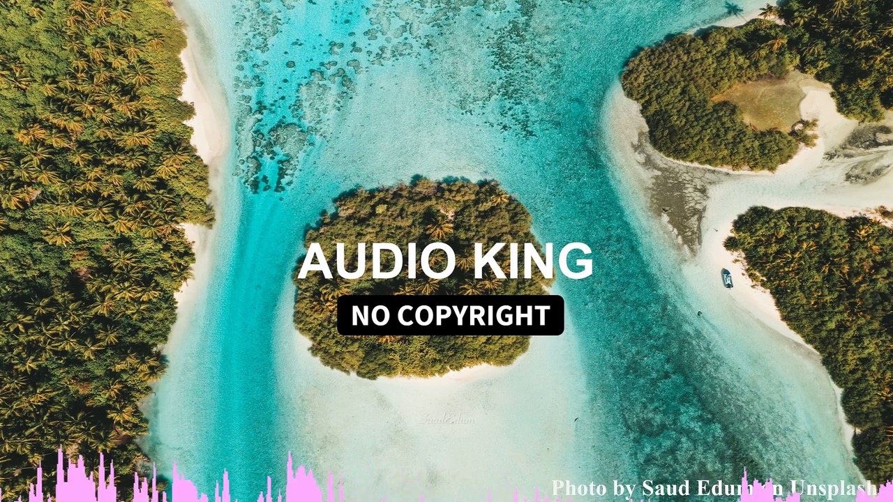 Alan Walker -  Life |Audio King|