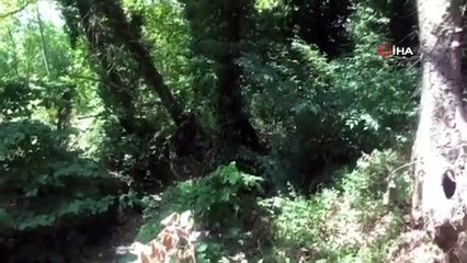 Bursa'da uyuşturucu operasyonu: 13 gözaltı