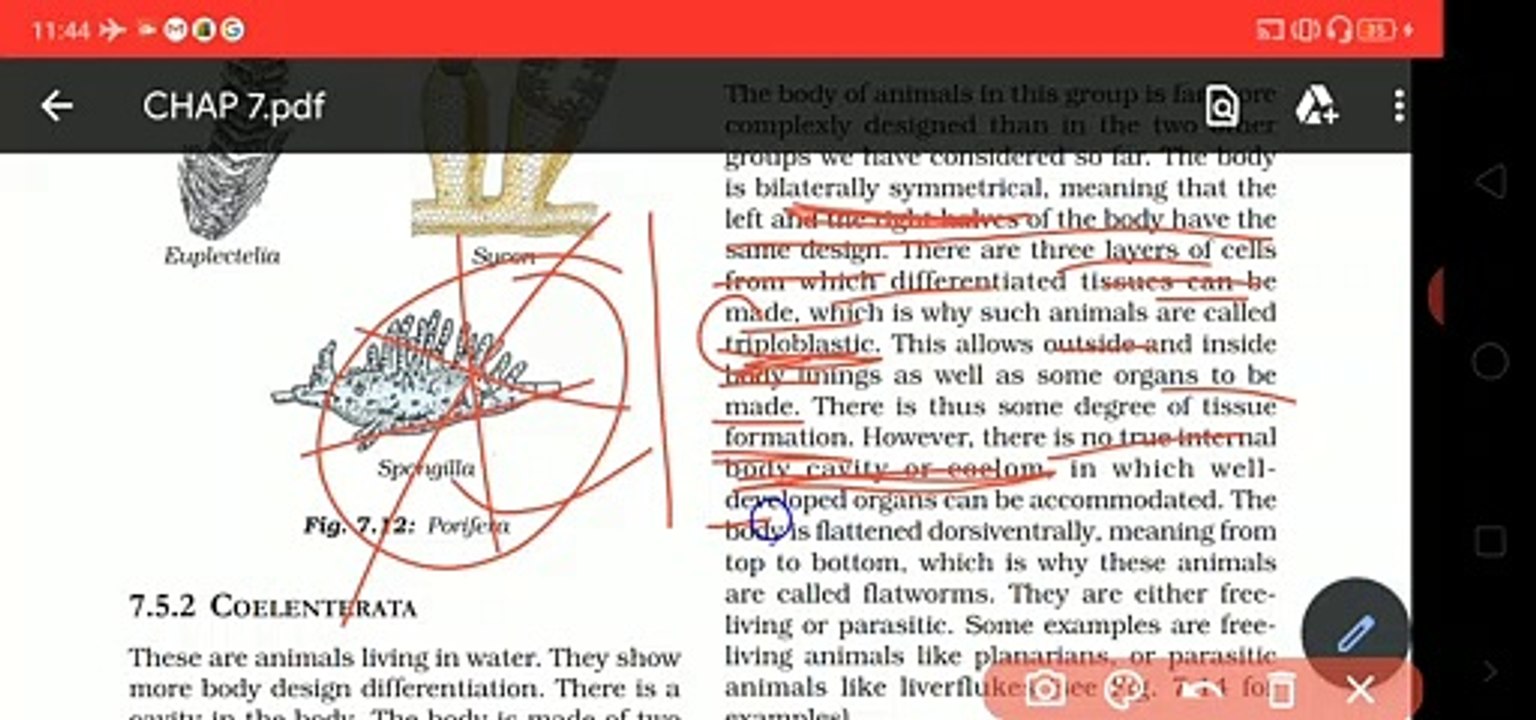 SOME PHYLUM OF KINGDOM ANIMALIA CLASS 9