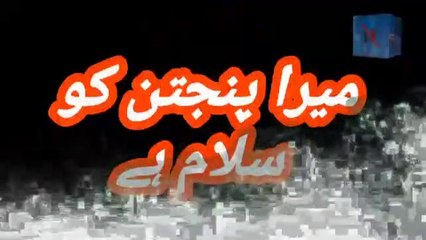 Mera Panjtan Ko Salaam He || Naat By Taha Naveed