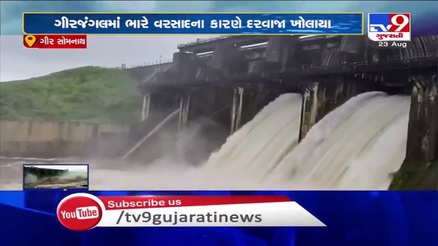 Following heavy rain in Gir Forest area, 3 gates of Hiran-2 dam opened _ Tv9GujaratiNews