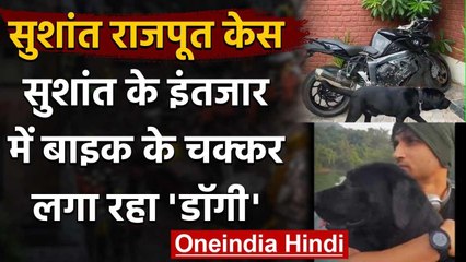Sushant Rajput Case: सुशांत के इंतजार में Bike के चक्कर लगा रहा Pet Dog Fudge | CBI | वनइंडिया हिंदी
