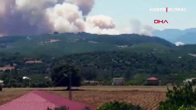 Adana Kozan'da ormanlık alanda yine yangın çıktı