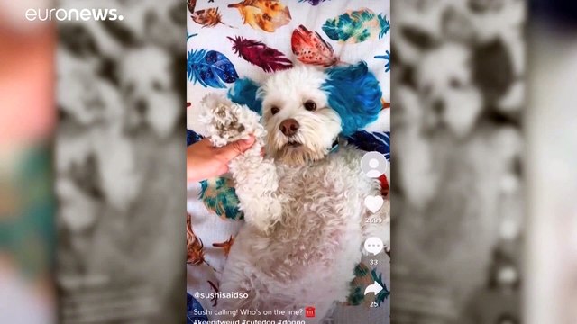 TikTok lance une riposte juridique aux États-Unis