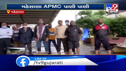 Ripened crops damaged due to excess rain in Mehsana - Tv9GujaratiNews