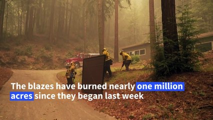 Wildfires rage near Santa Cruz in Northern California
