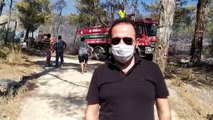 Datça Kaymakamı Çoban: 'Orman yangını kontrol altına alındı' - MUĞLA