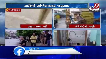 Kadi paralysed after incessant rain showers , normal life out of gear - Mehsana - Tv9GujaratiNews