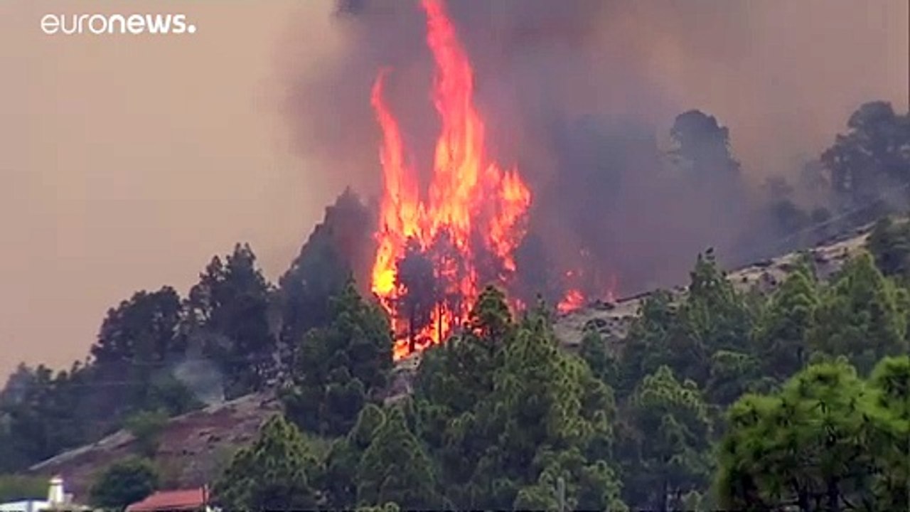 Waldbrand auf der Kanareninsel La Palma